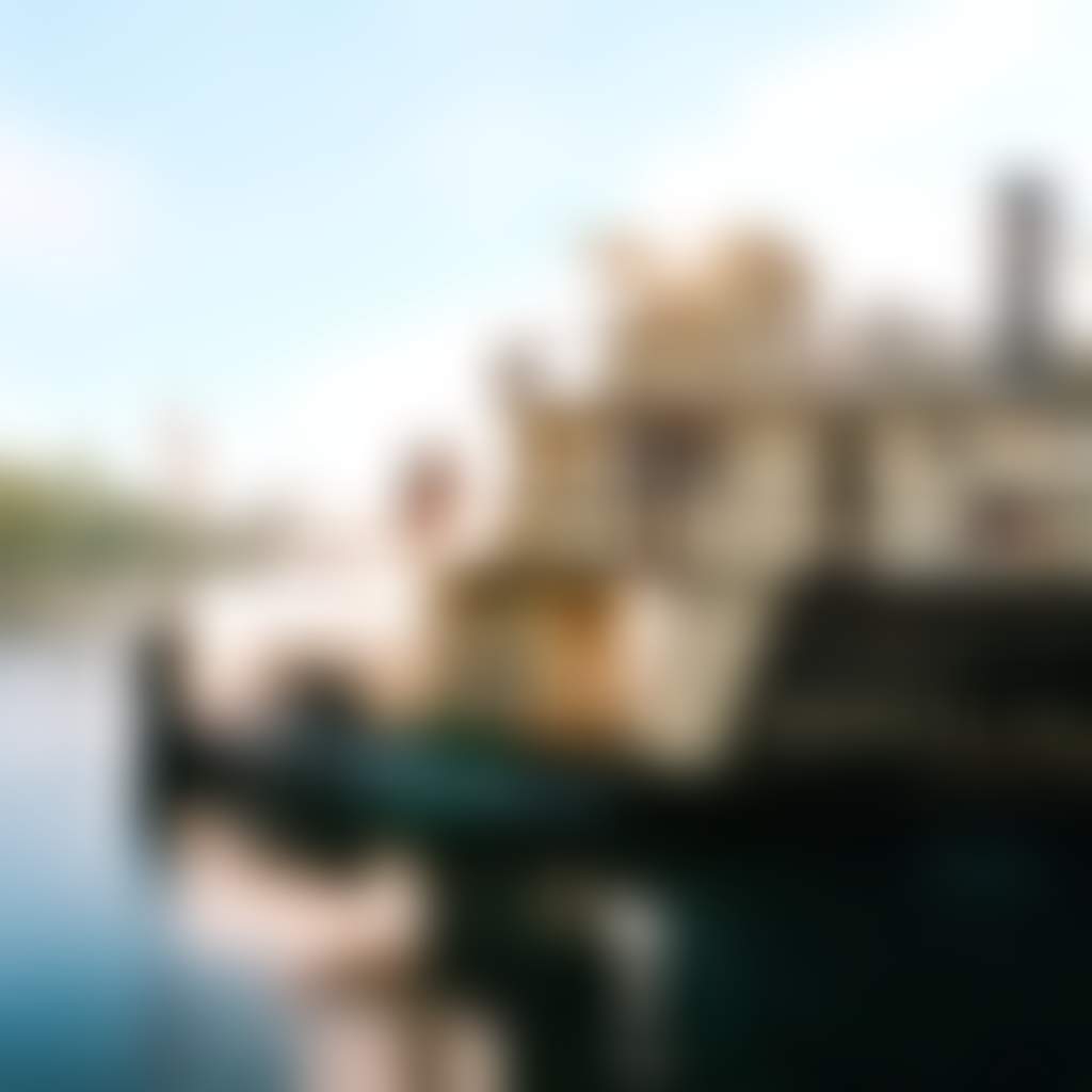 Paddlesteamer
