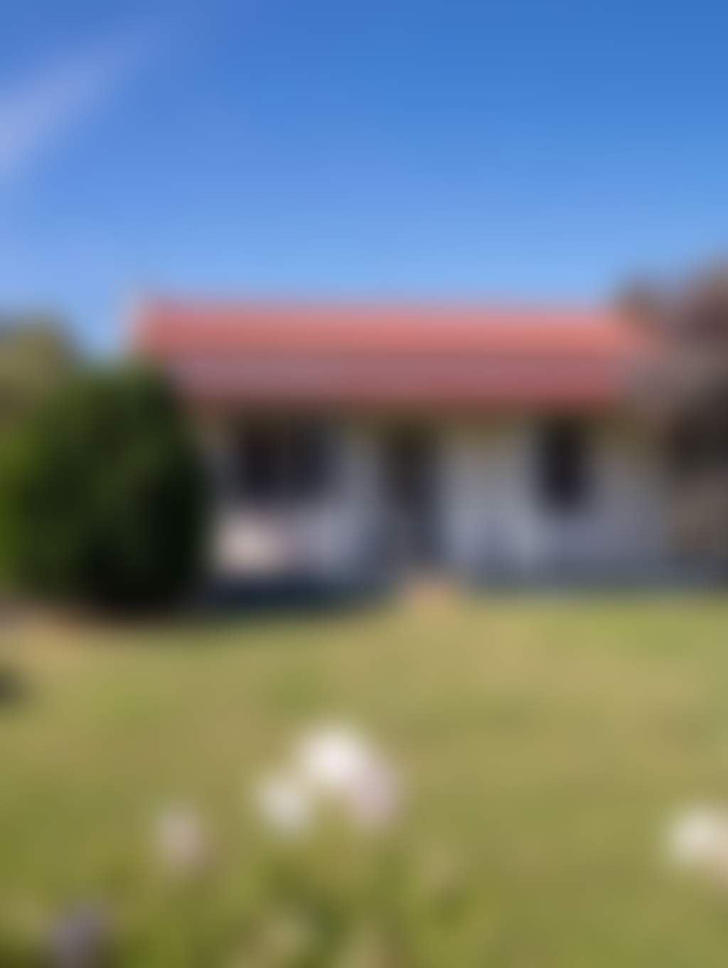 Frontal view of the cottage engulfed in greenery and surrounded by flowers