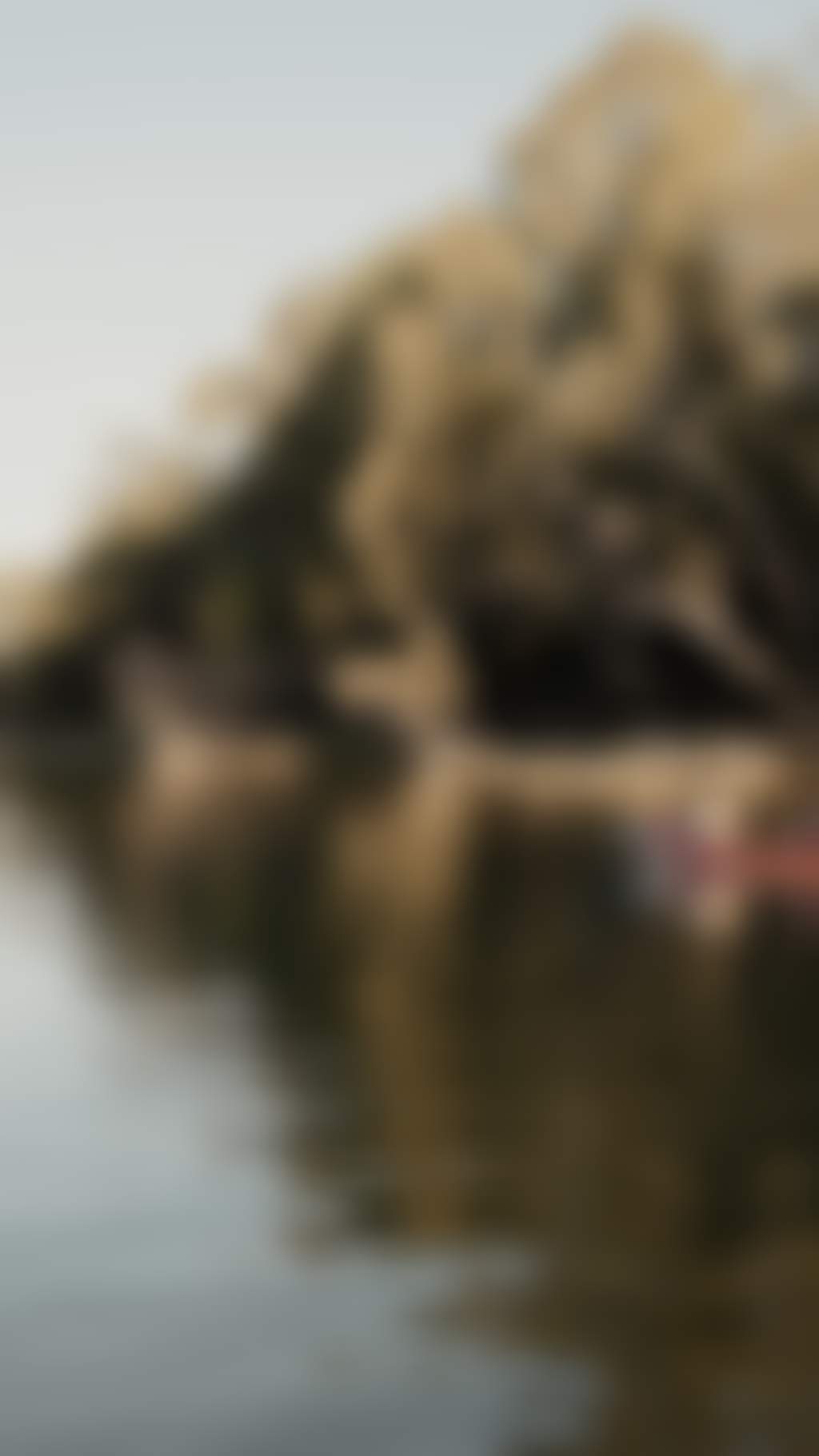 Two people in a red canoe on the Murrya River