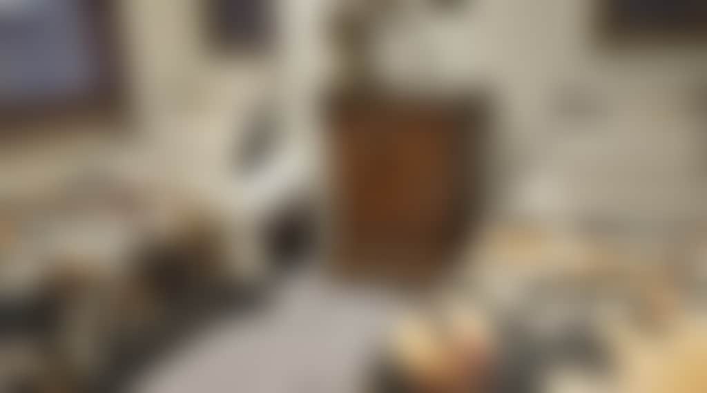 Exotically furnished twin room