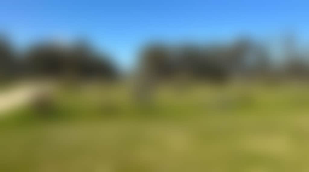 A view into the green and open reserve