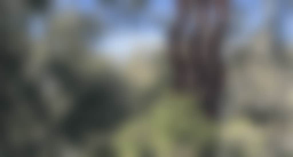 Fb24B7Bc99C98Ae0703142F2Ea08E65E