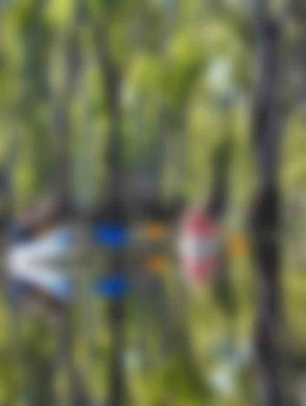Edward-River-Canoe-Trail-04_O3Xsnhu