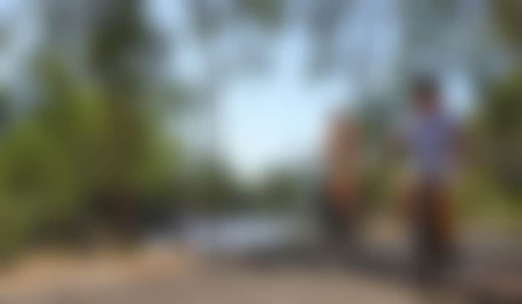 Couple riding bikes through the seren forest in Echuca Moama