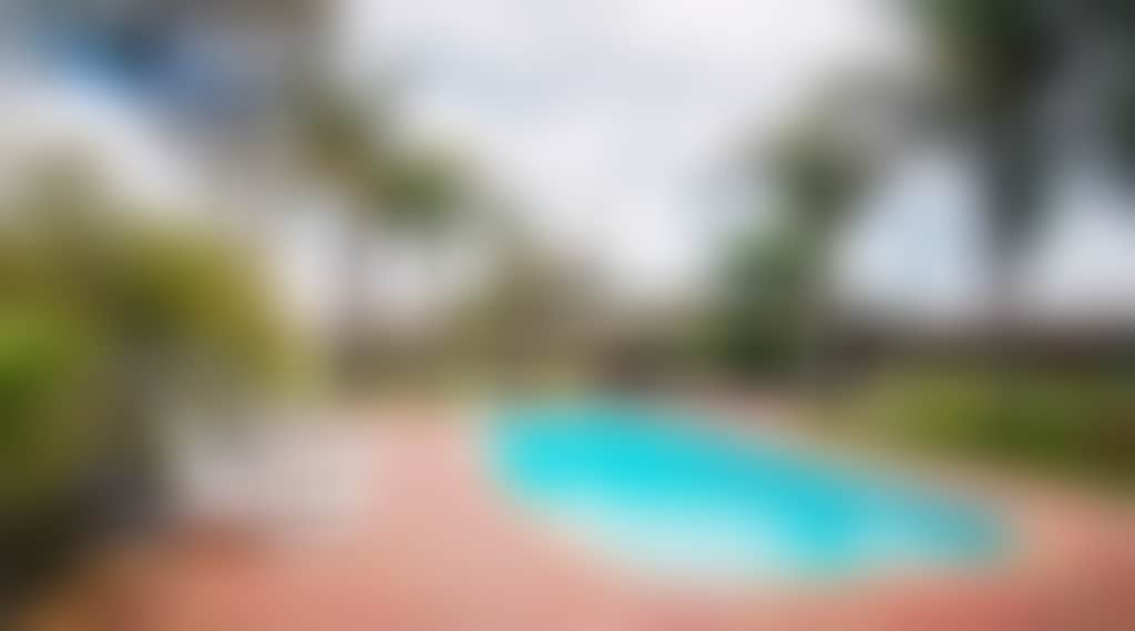 Outdoor pool setting surrounded by palm trees