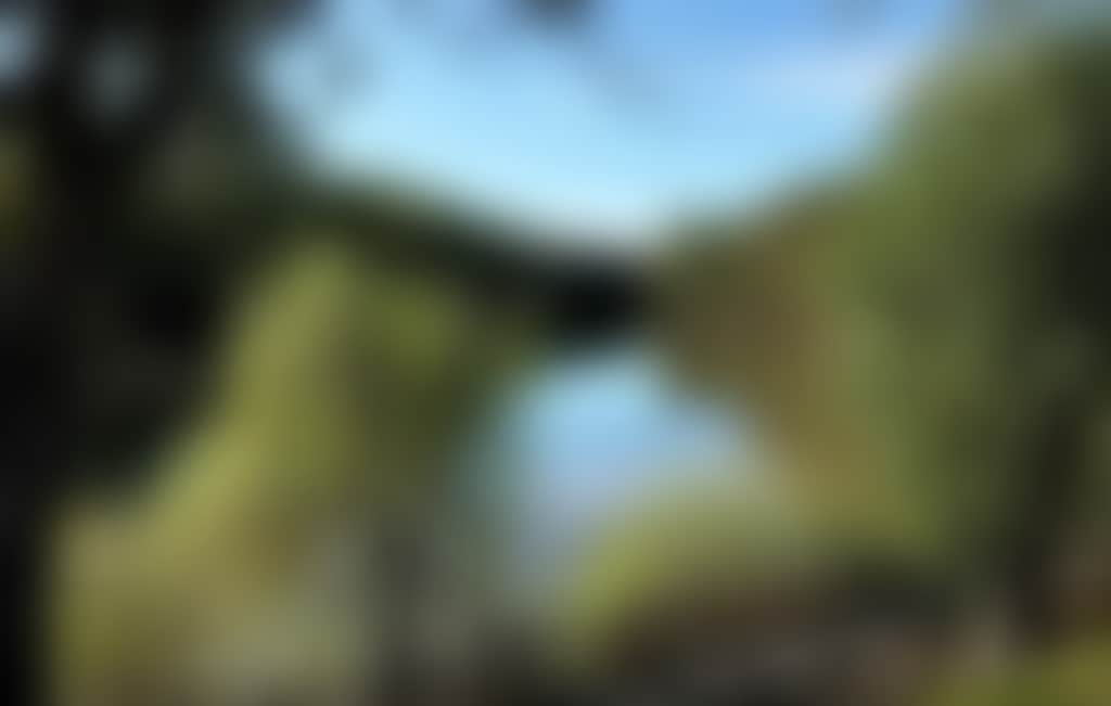 637007C665Ac1Fb697Ce58C2E5714612