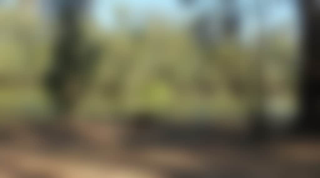 Murray-View-Murray-River-Pig-Bend_Jckfepj