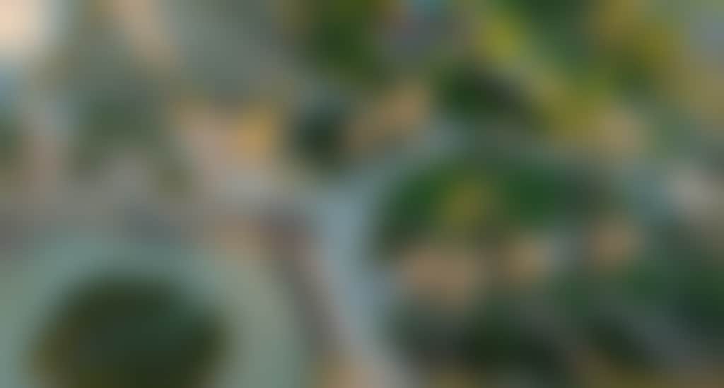 06F77497810B79579Aef27700822A78B