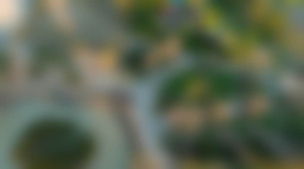 06F77497810B79579Aef27700822A78B