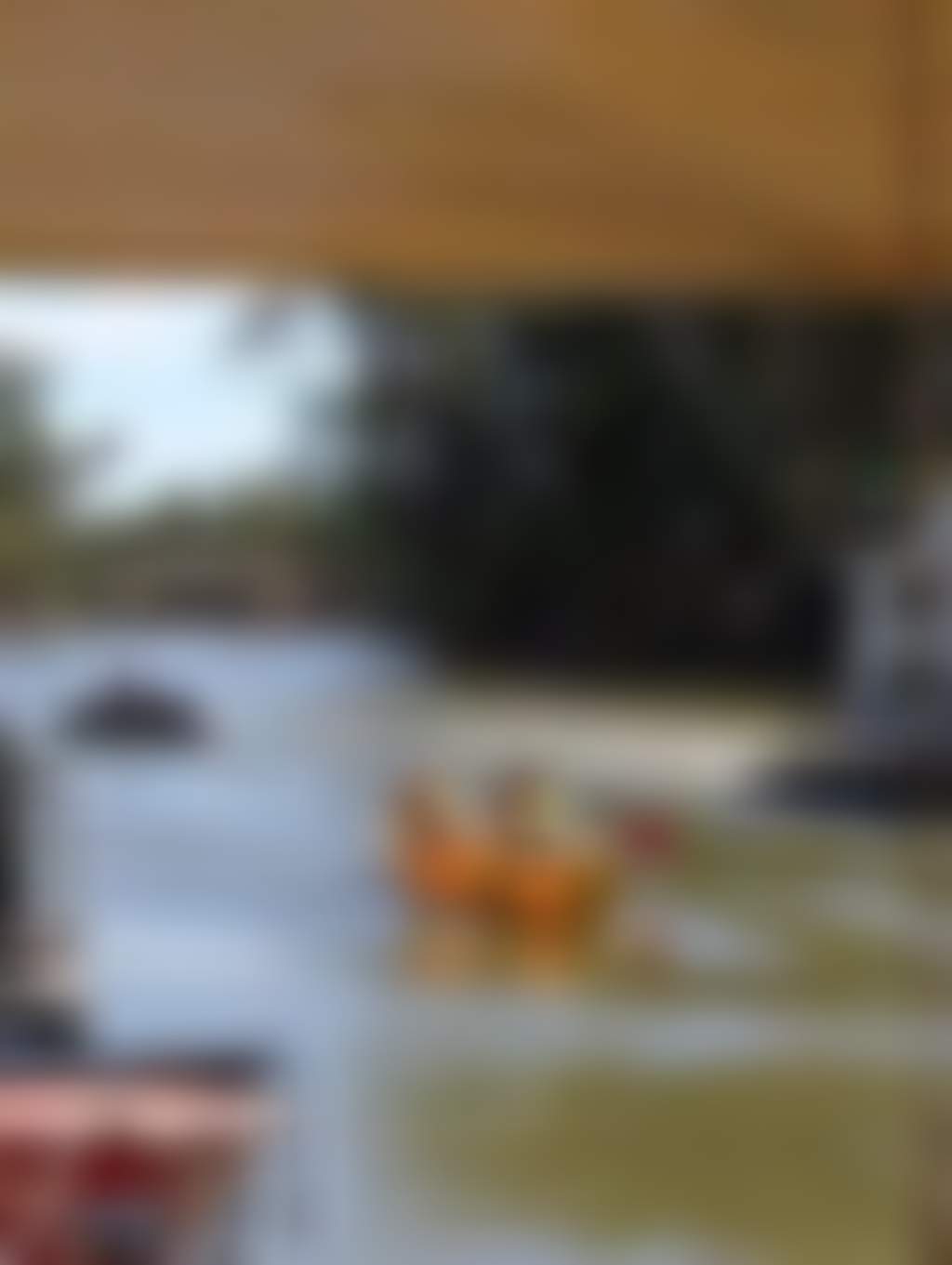 Echuca Boat Canoe H Ire 1