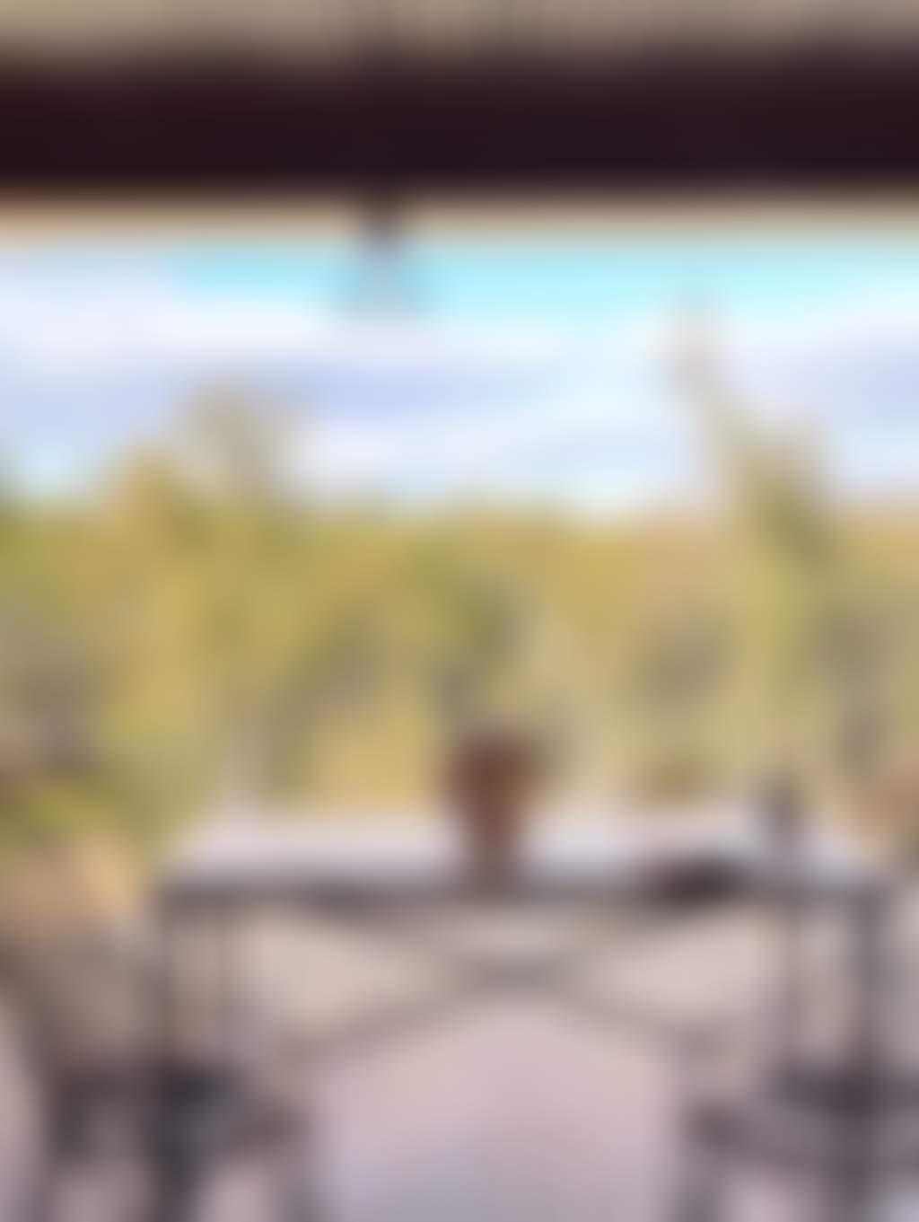 patio view of the countryside and all its greenery, with a couple of chairs and a bottle to share