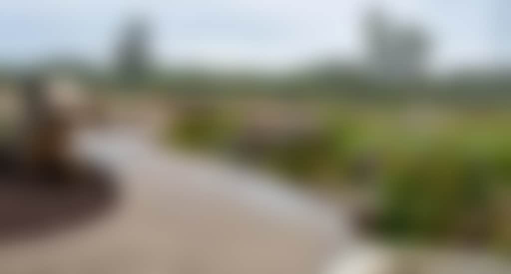 F1849D7A98598F4A7C760B19B53A7E77