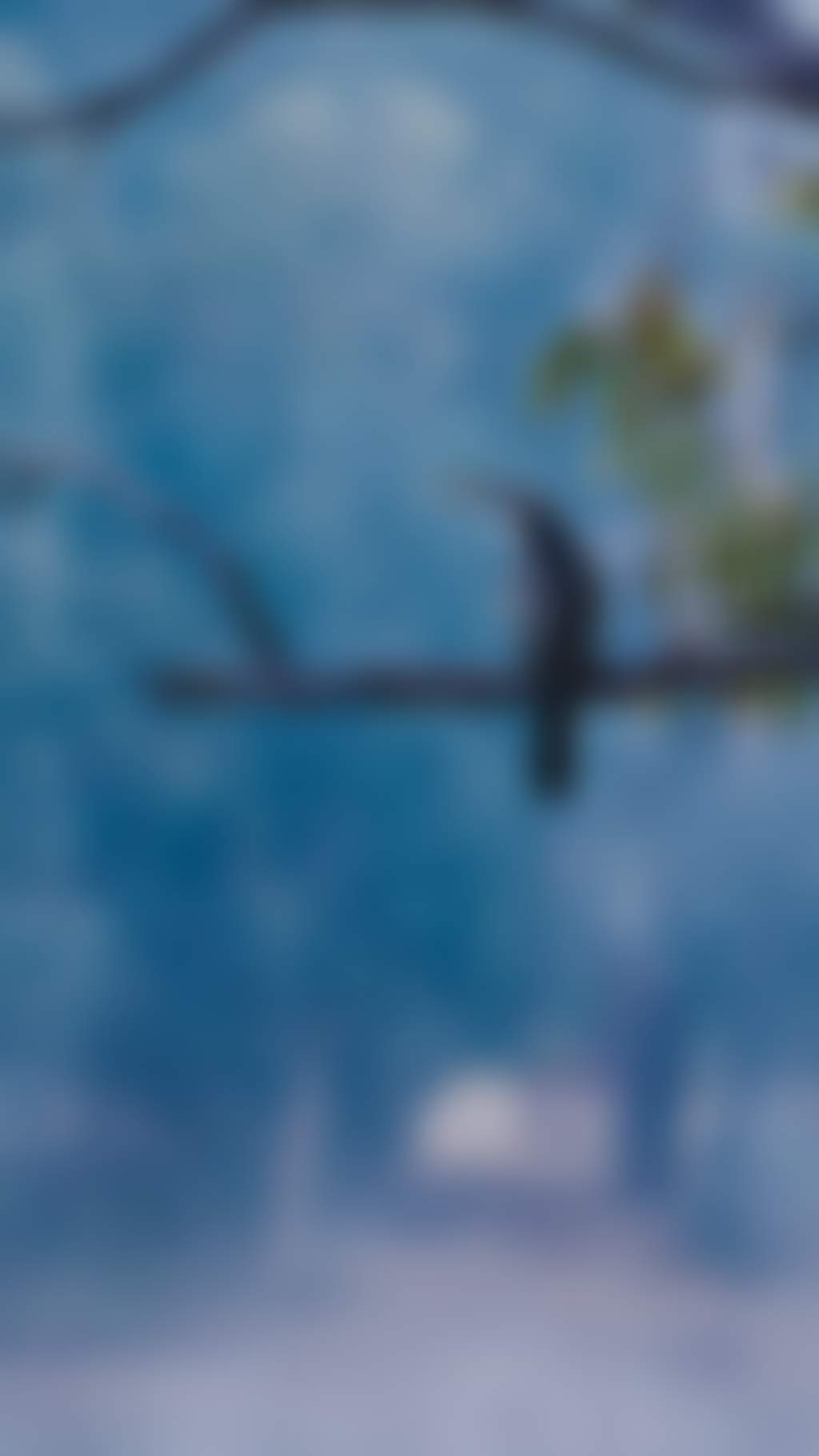 Bird perched on a bare branch over misty river water at dawn next to the Murray river in Echuca