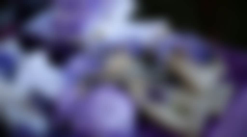99058451De489D2Df4Dfbfabfd83Db56