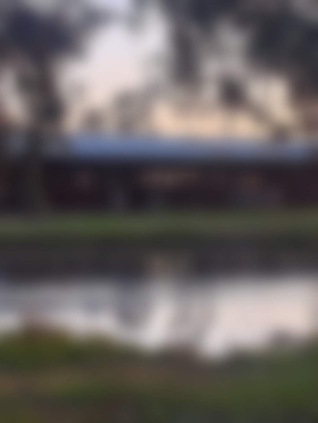 The secluded carriages surrounded by wildlife, redgums and a and a beautiful pond