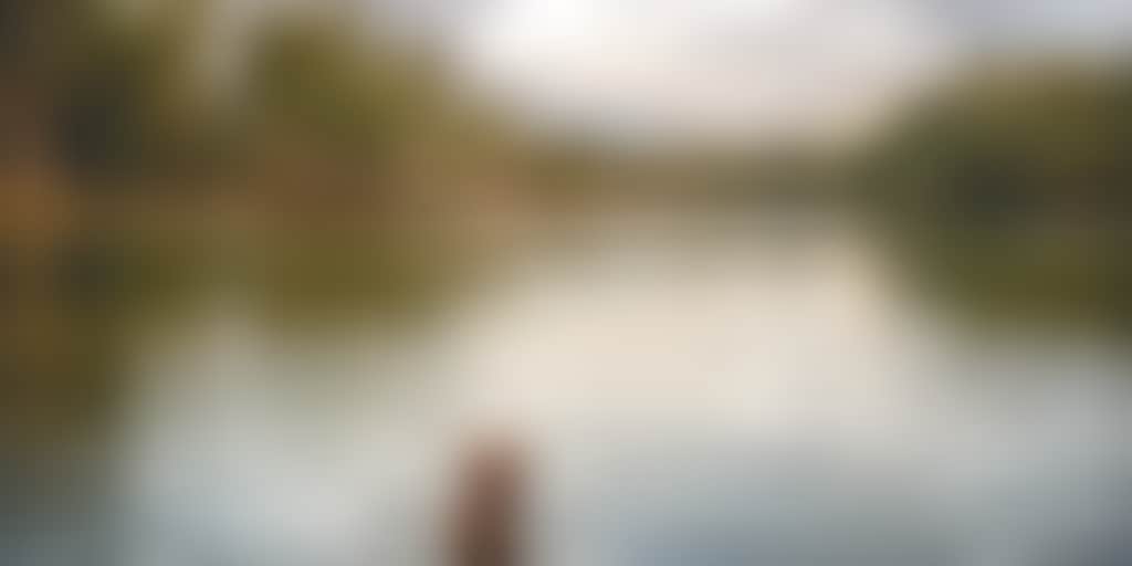 Resized brown dog swimming in the Murray River