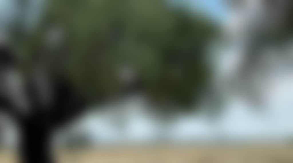 F5Db927A536250Bf8F0F6Cee61431Dfa
