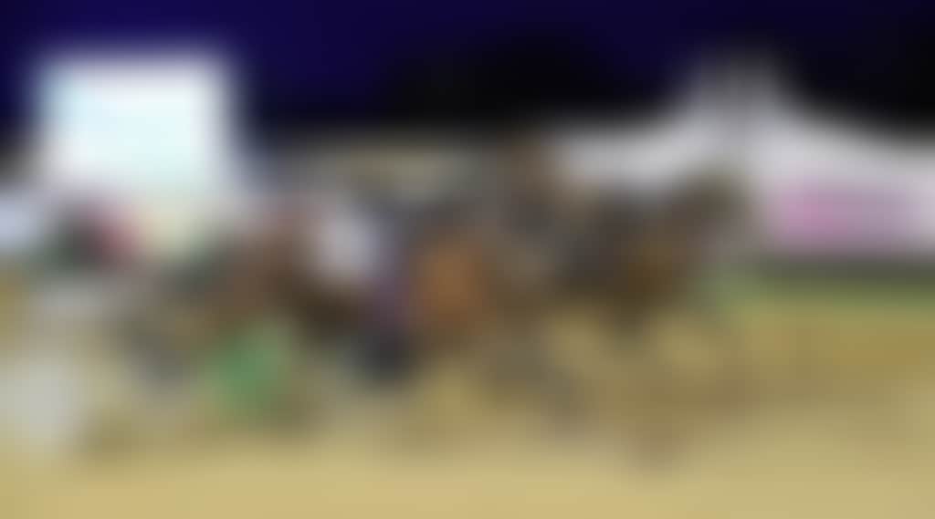 Echuca Harness Racing