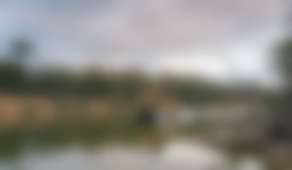Paddle steamer boat