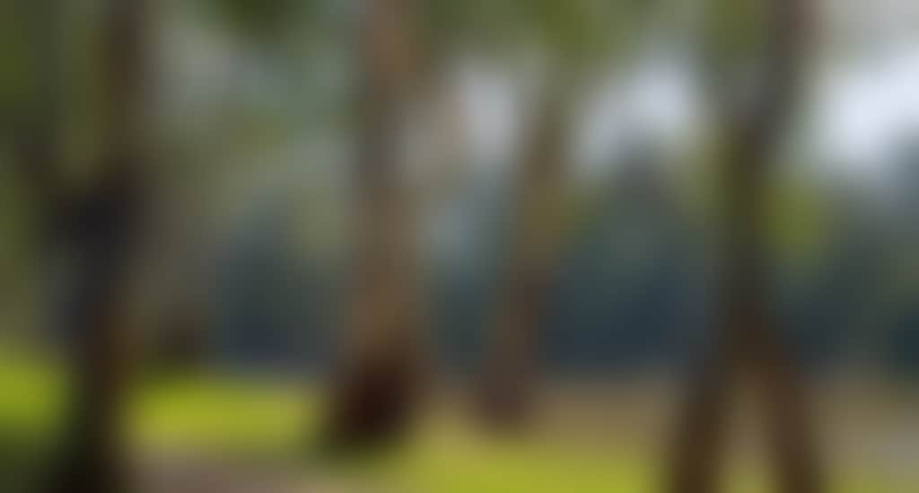 7B9C281F955725585897751573F73A67