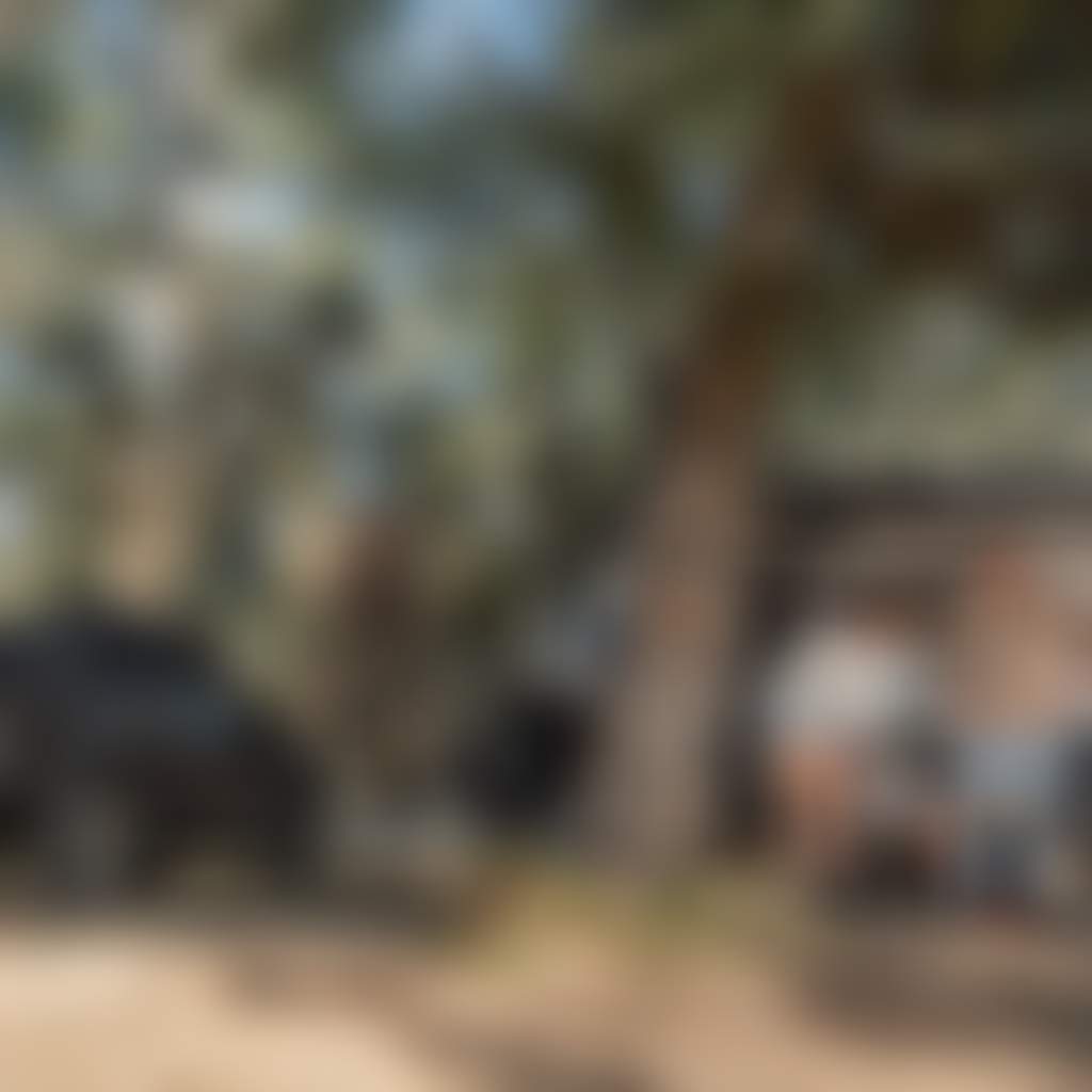 Family camping in Echuca Moama