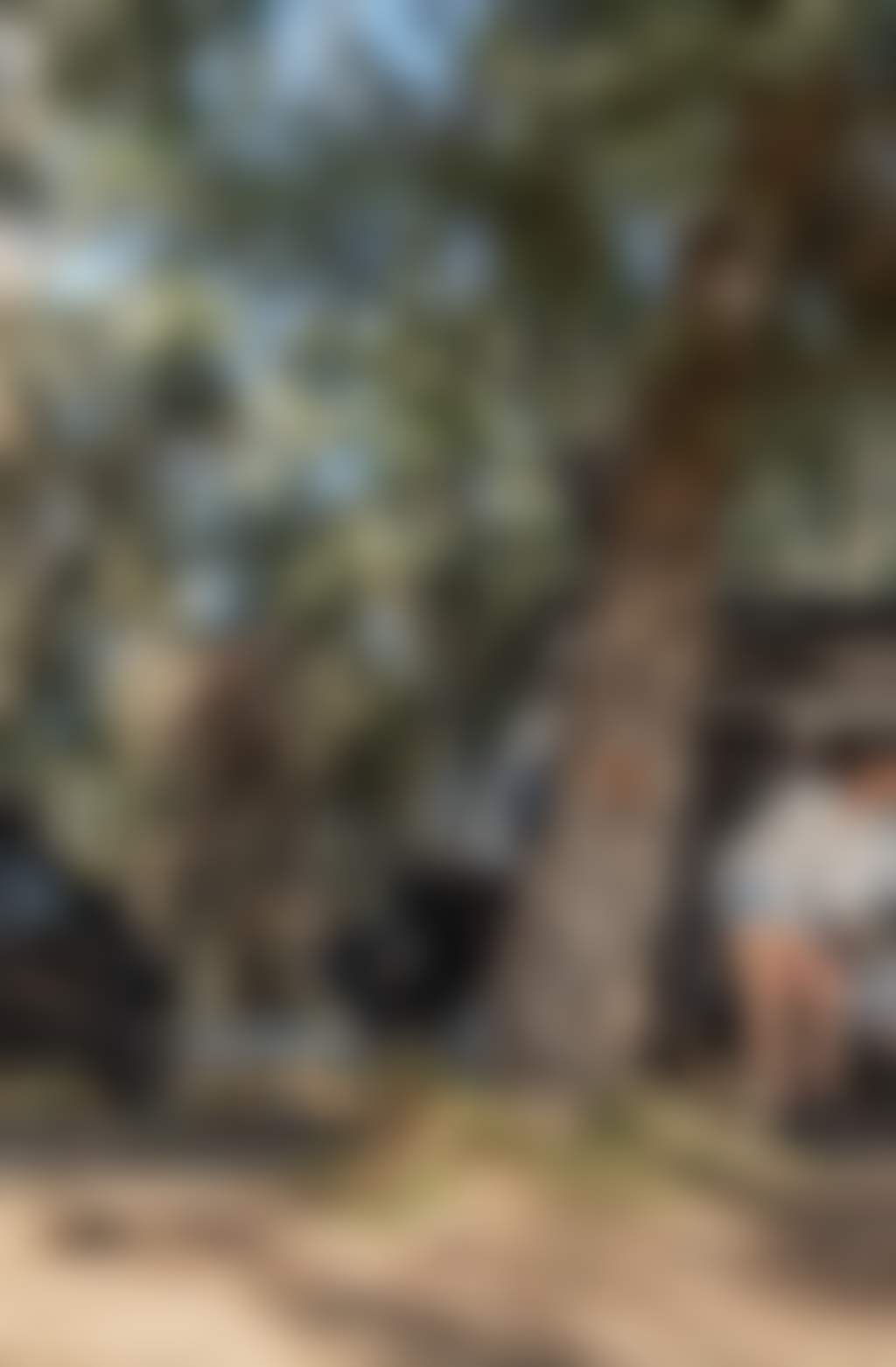 Family camping in Echuca Moama