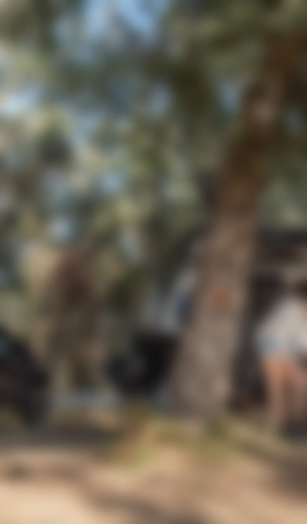 Family camping in Echuca Moama