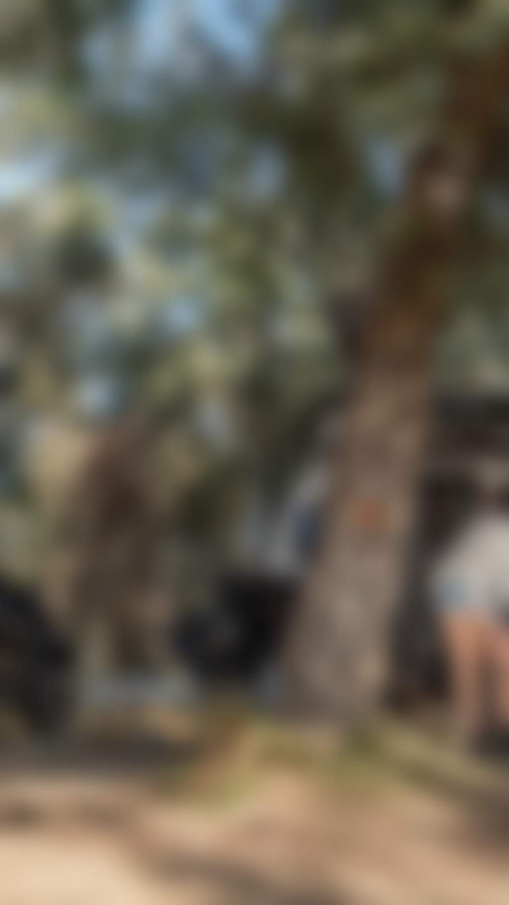 Family camping in Echuca Moama