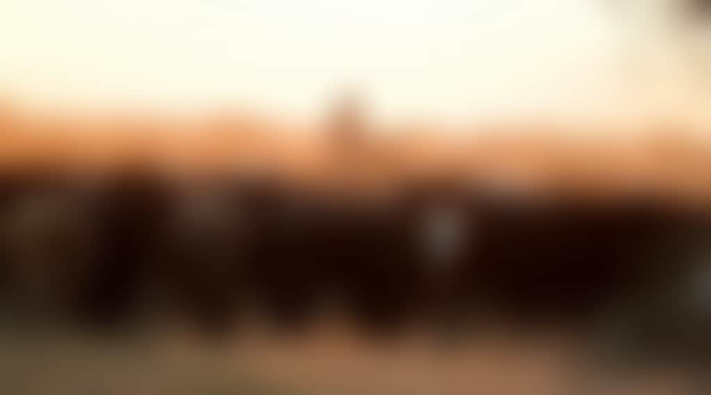 E5Da0Dc33Ff757Ddcda6B68B00Bd5681