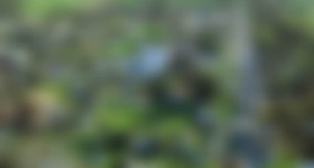 784801Bbcd55Fb5F15C15F26D22709Ff