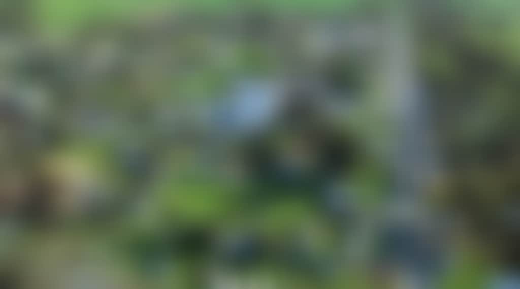 784801Bbcd55Fb5F15C15F26D22709Ff