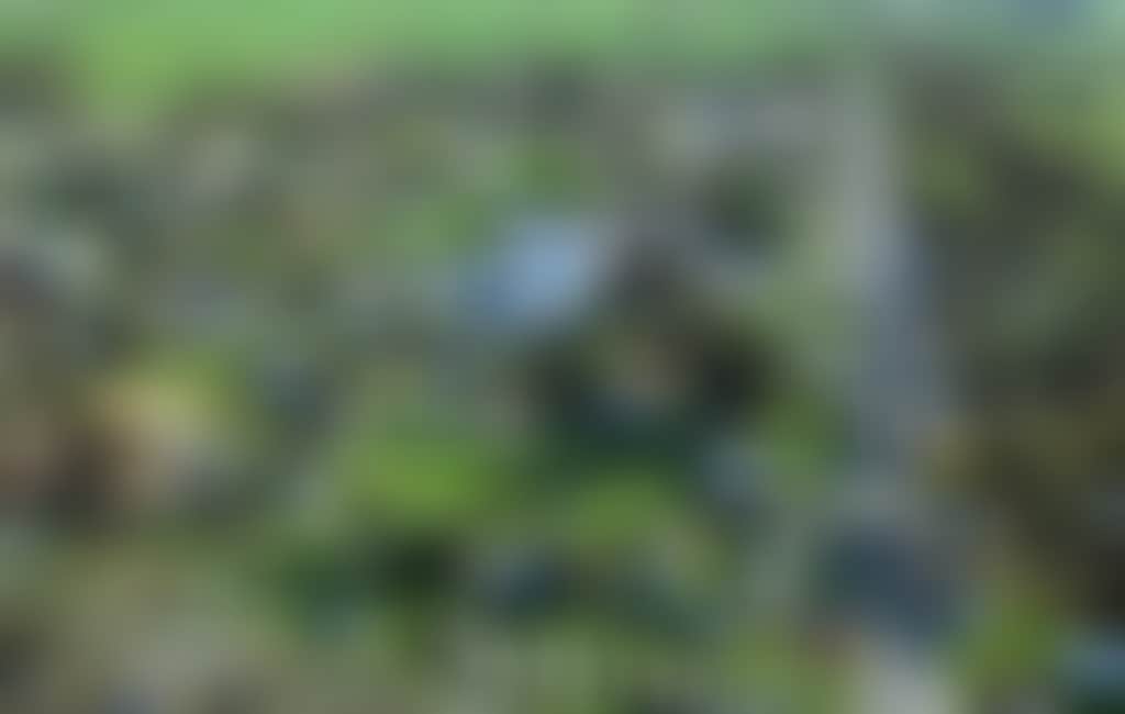 784801Bbcd55Fb5F15C15F26D22709Ff