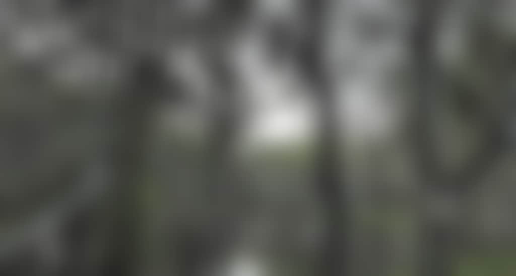 3Babb5F3B373333065B7F58305C49Dd3