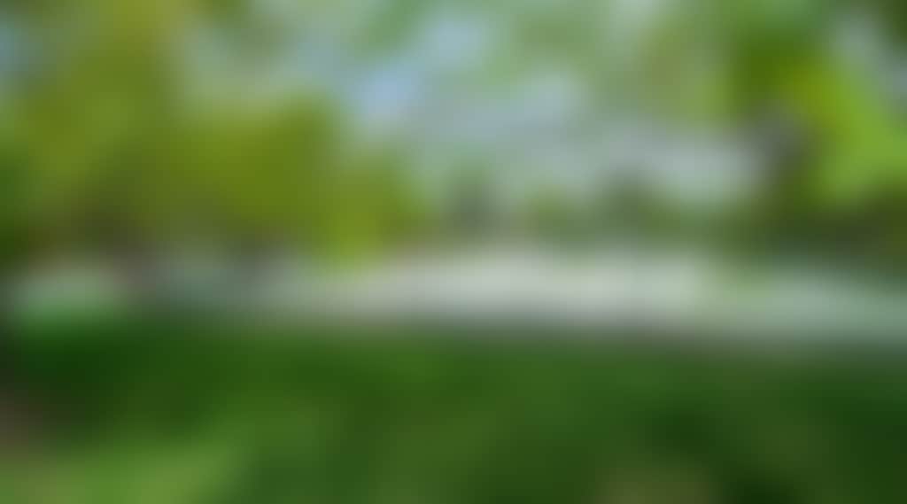 184337605636A59B68060Ab8B5B5C941