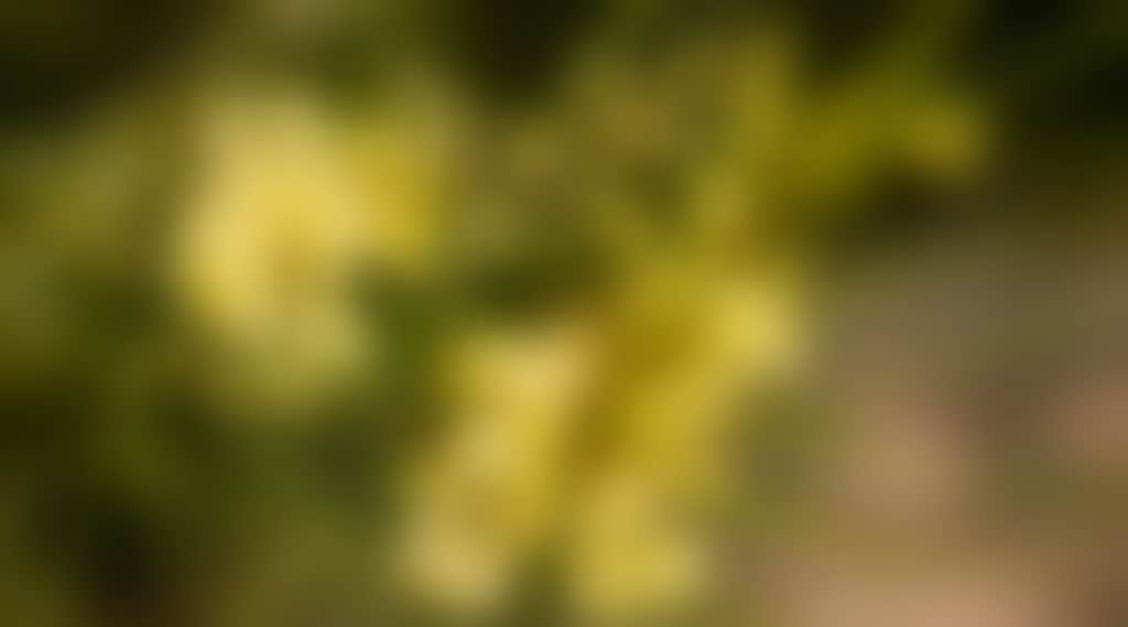 3245Dfd2D643E35981092A9Db8Bd3B81