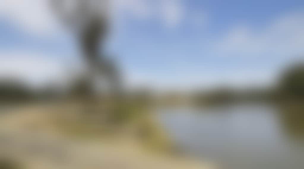 Five-Mile-Picnic-Area-05_Qhxlshc