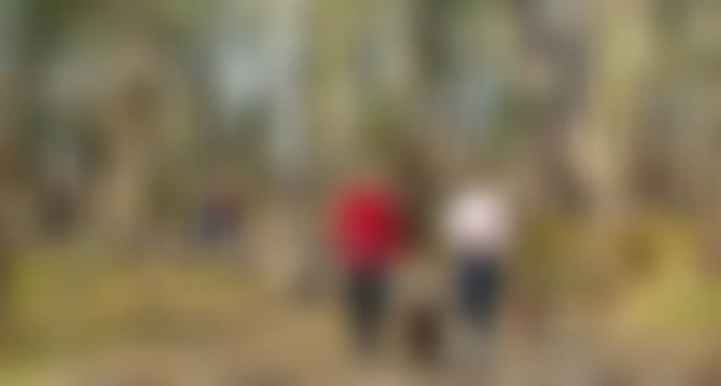 1225Ba4Bc0971B579B4E504Da7282251