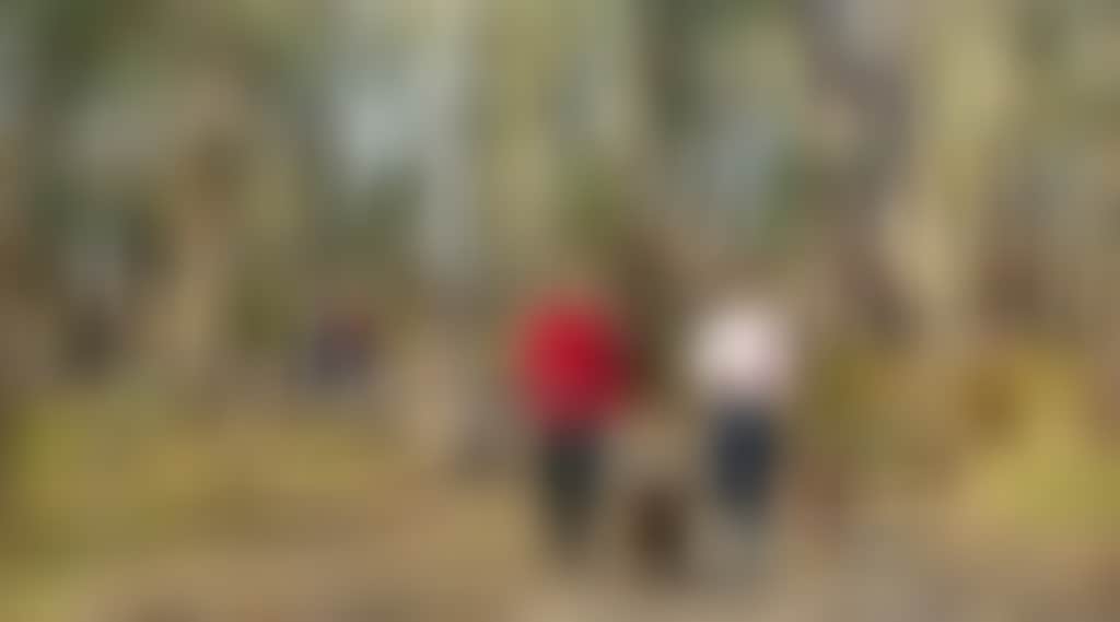 1225Ba4Bc0971B579B4E504Da7282251