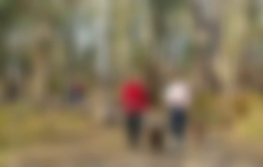 1225Ba4Bc0971B579B4E504Da7282251
