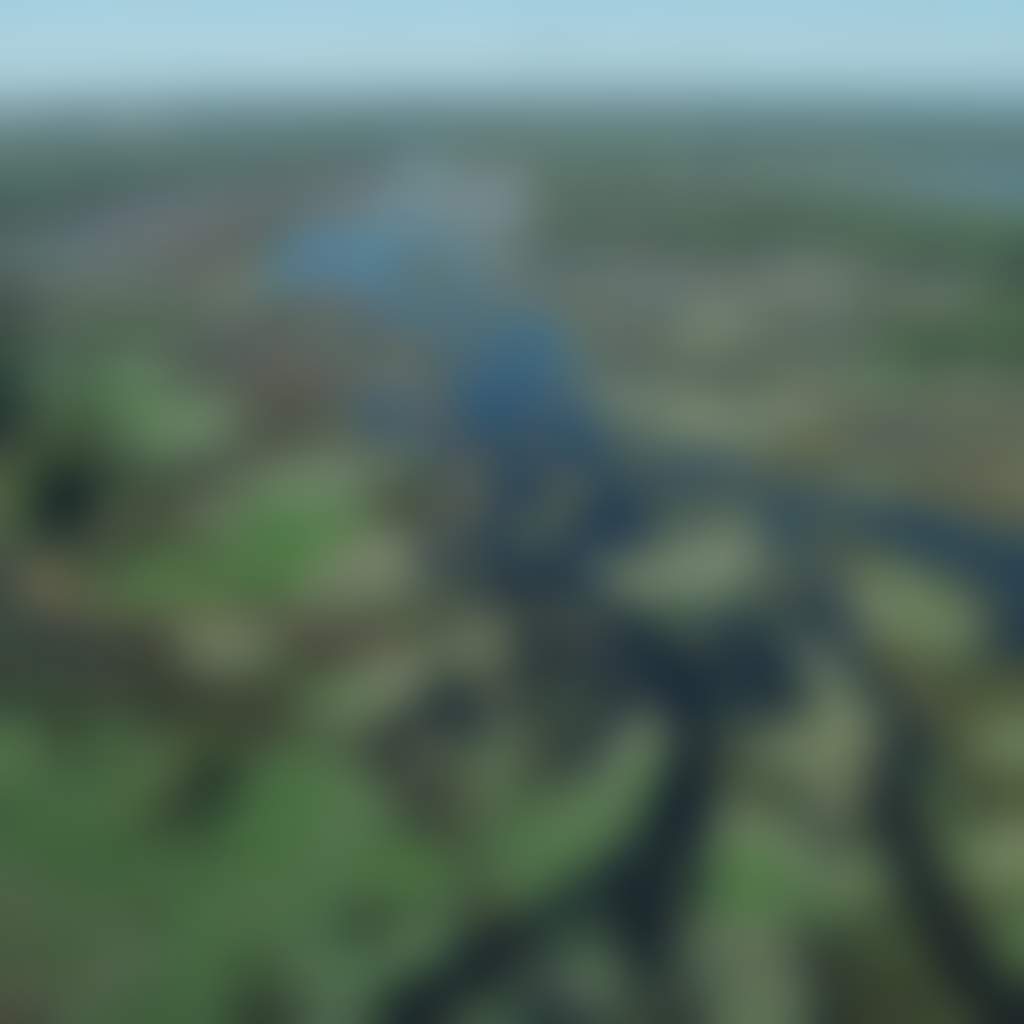 Wide shot of Barmah National Forest