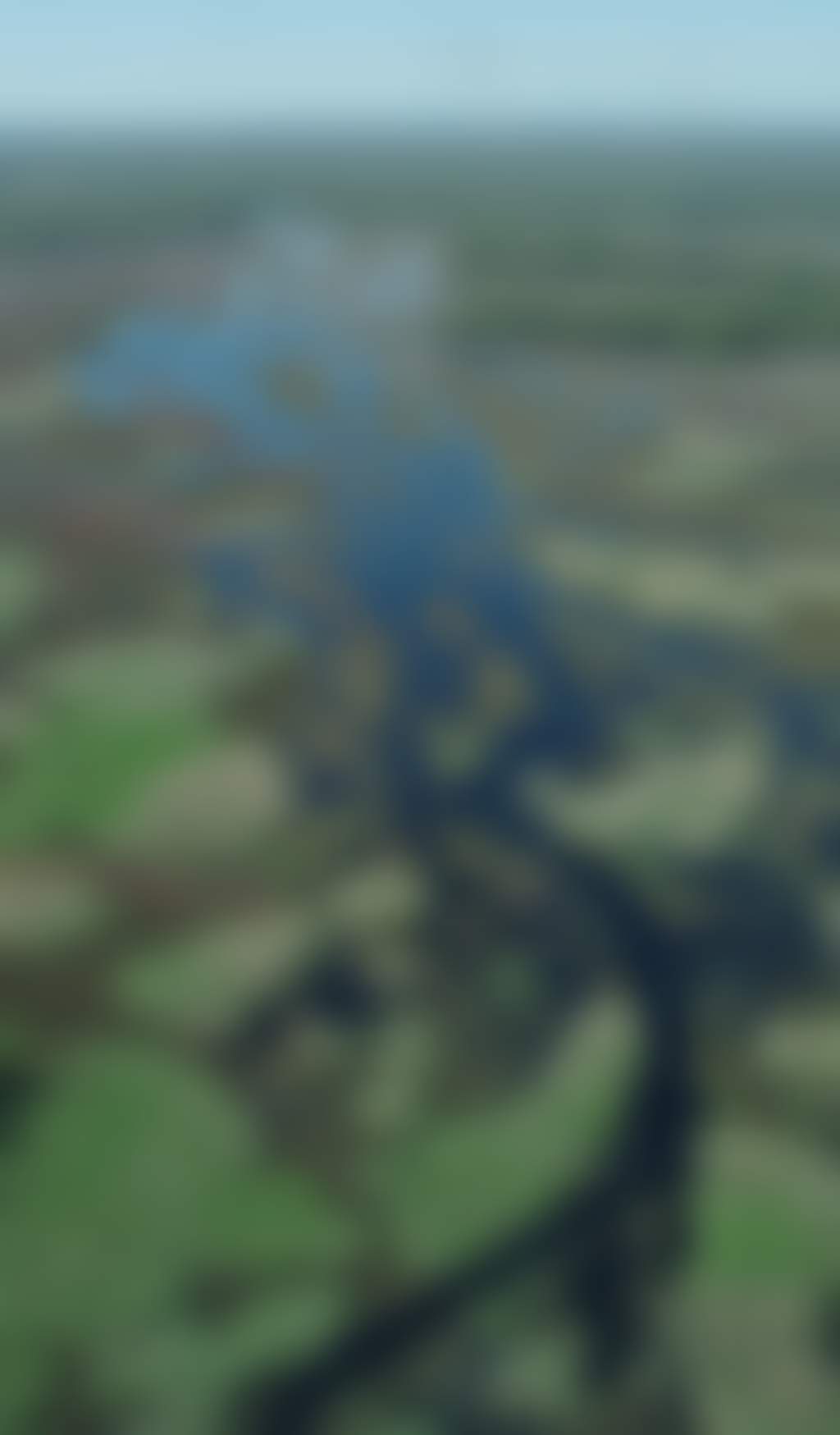 Wide shot of Barmah National Forest