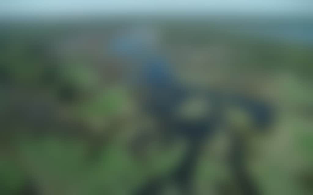 Wide shot of Barmah National Forest