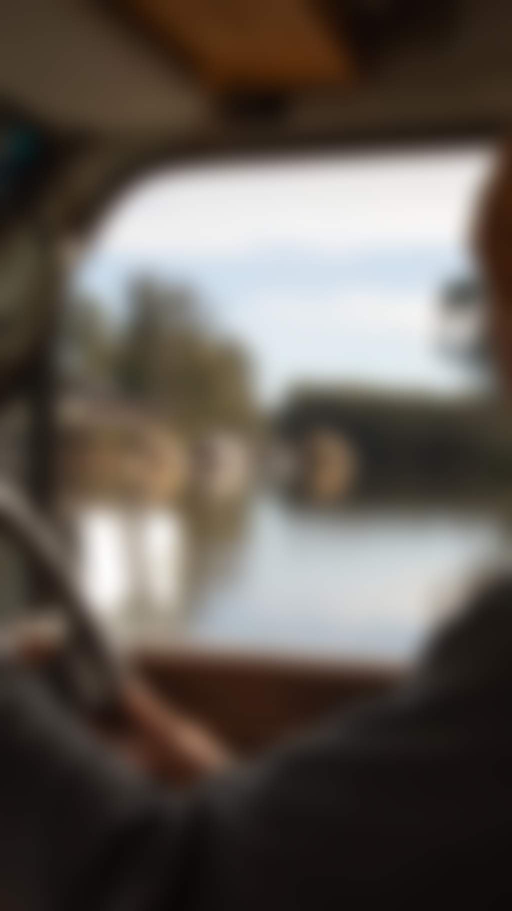 View from a car driving along the Murray River near Echuca