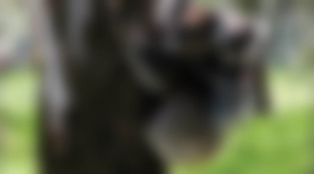 1C7E5Ddf13Aa71Ceda72Db5D1Fff699D