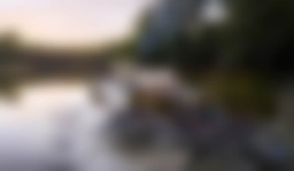 Paddle steamers offer front row seats of the river and redgums