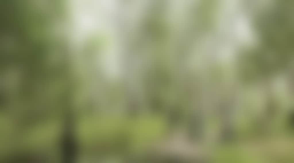 Cycling_B31Iu74