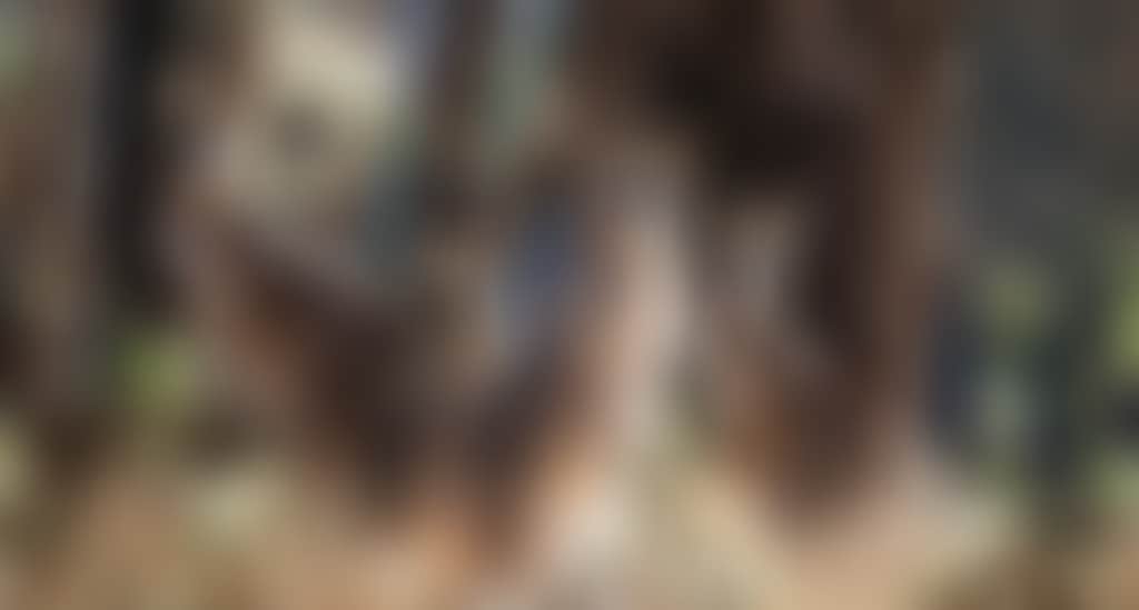 7761F794E30A6D140F7Dfdf96704244C