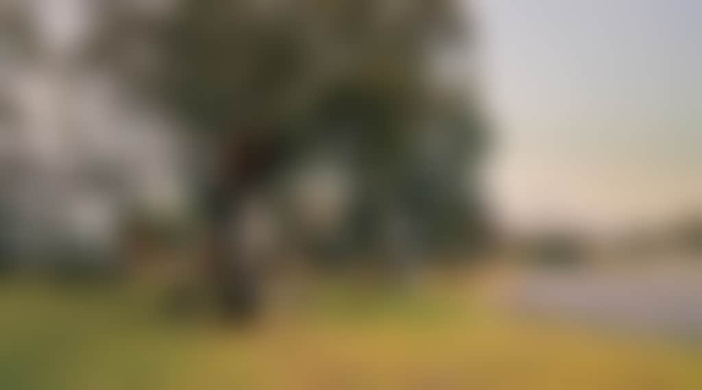 D03871Ece2F42C3F0Cbef75Dbf6Ebe0B