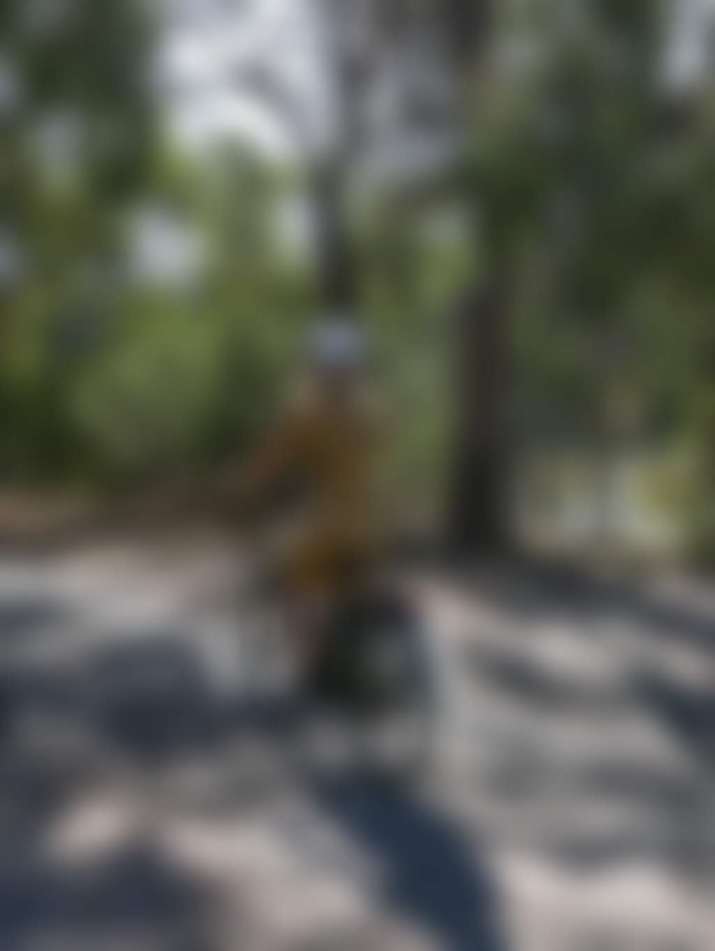 Man and woman cyclling away through a national forest