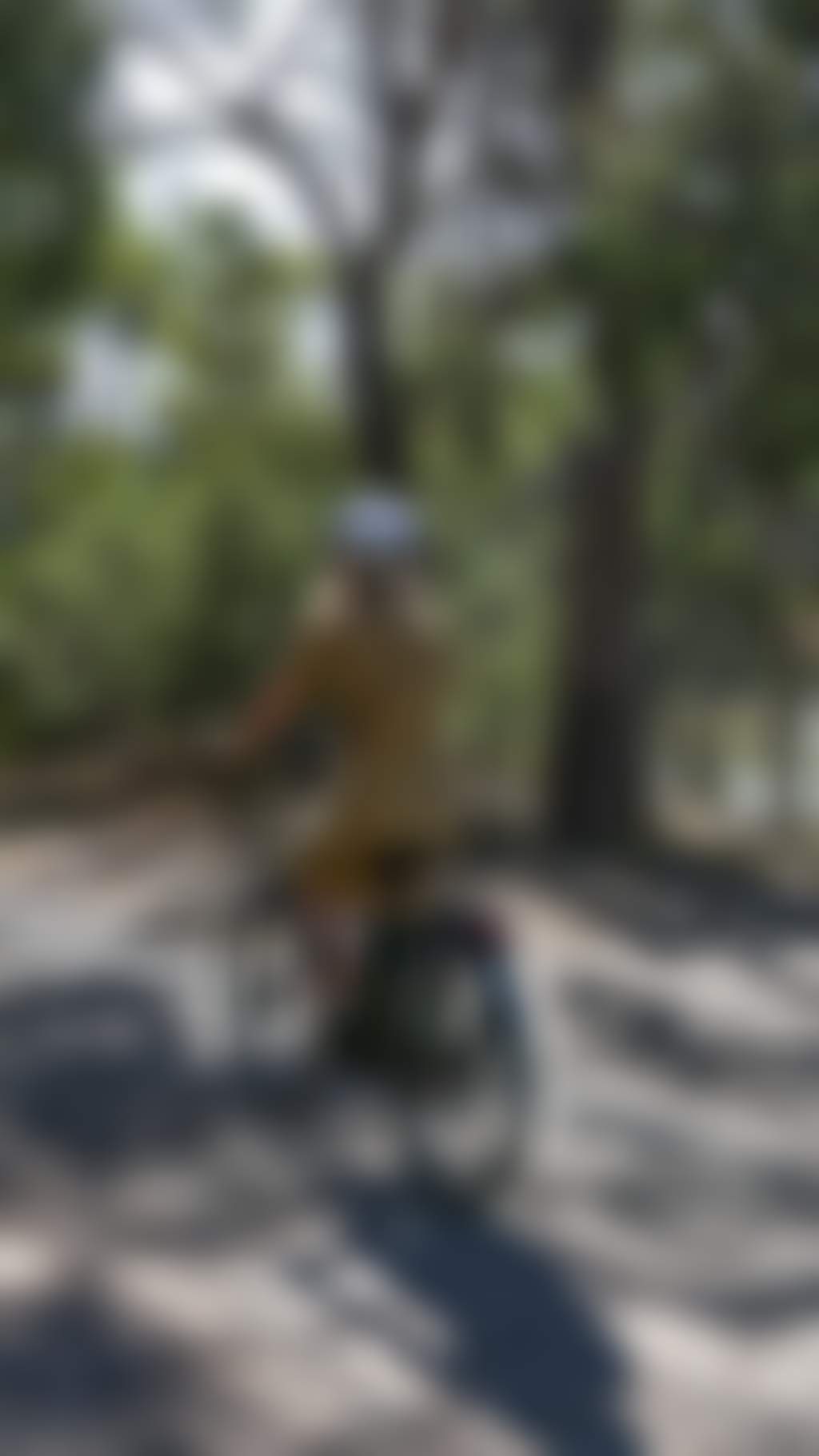 Man and woman cyclling away through a national forest